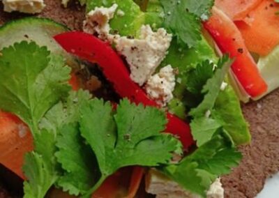 Flax Wraps with Tofu packed Salad